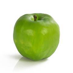 Plant species Manzana