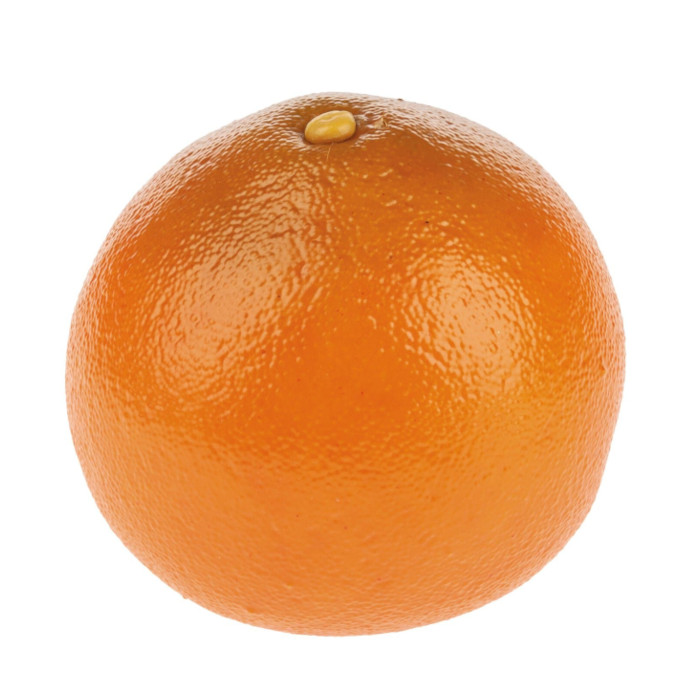 Plant species Pomelo