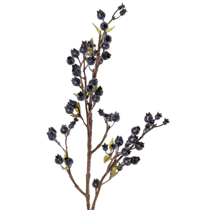 Plant species Arándanos