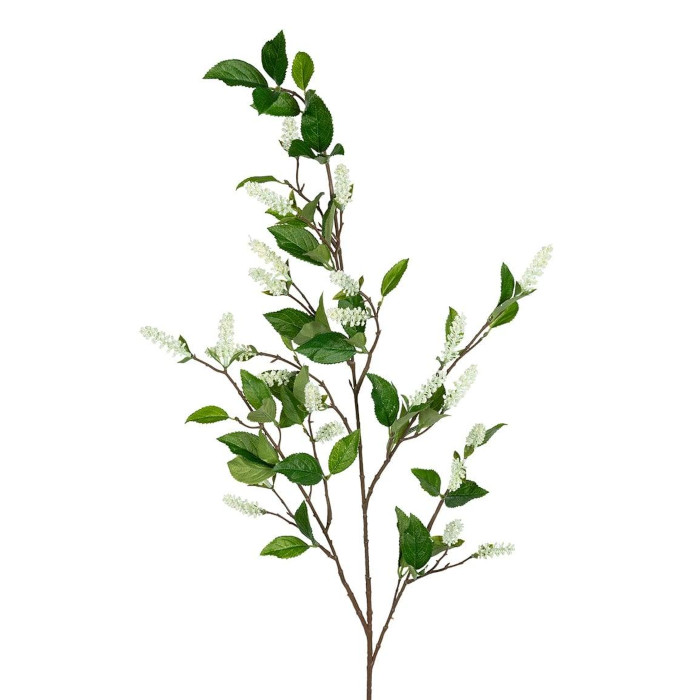 Itea