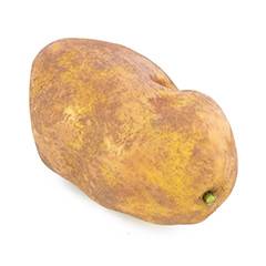 Patata