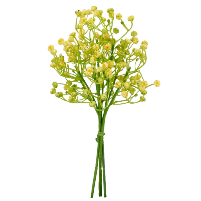 Linaria
