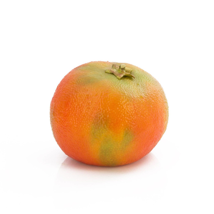 Plant species Mandarina