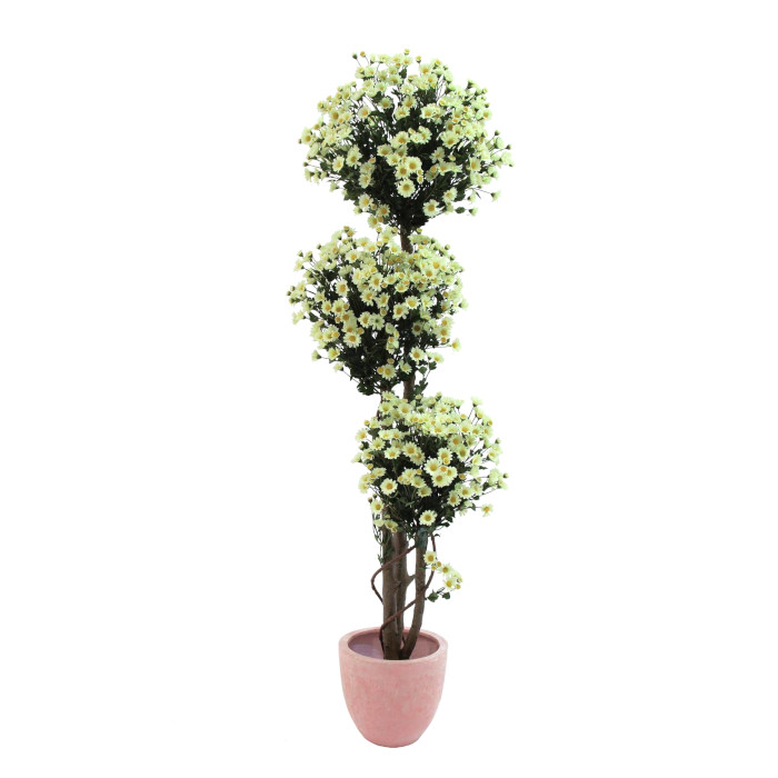 Árbol de margaritas