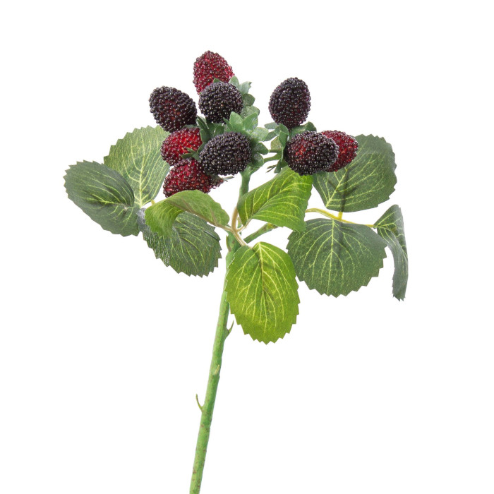 Moras