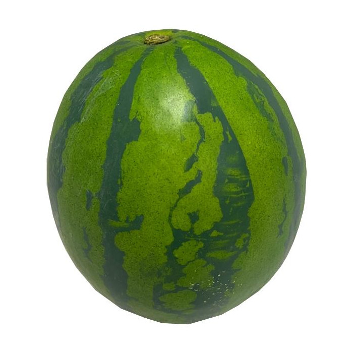 Plant species Melón