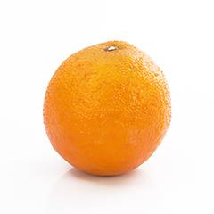 Plant species Naranja