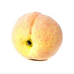 Plant species Melocotón