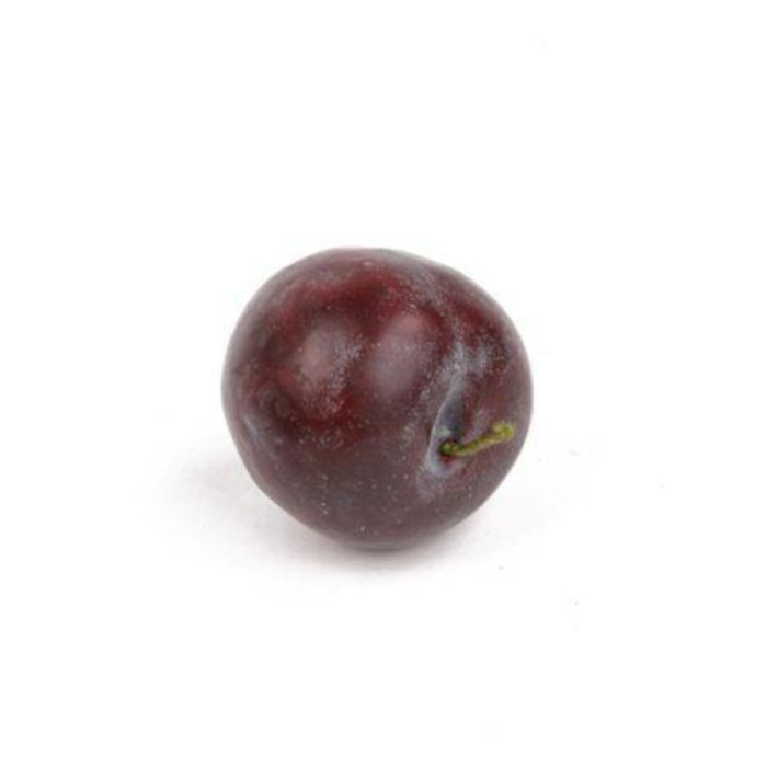 Plant species Ciruela