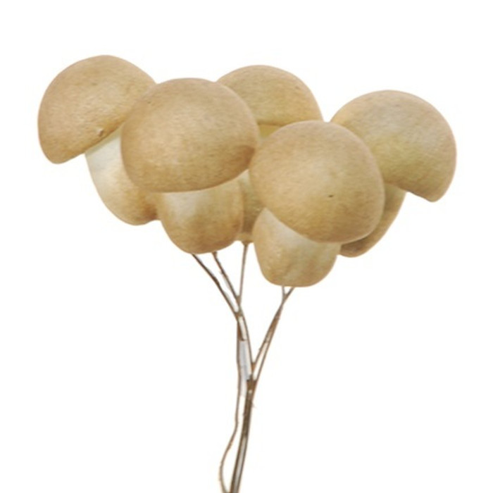 Champiñón