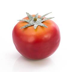 Tomate