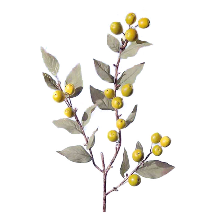 Nisperero