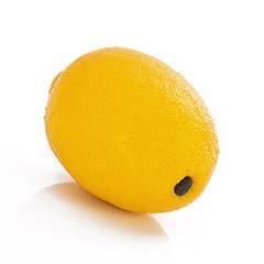 Plant species Limón