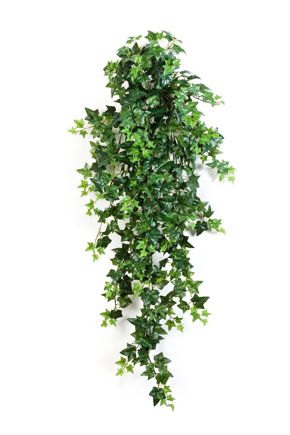 Enredadera hiedra artificial LUKA, vara de fijación, verde, 110cm - Plantas  artificiales
