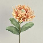 Flor artificial Protea, espuma plástica ISLARTINA, crema-albaricoque, 75 cm