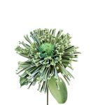 Flor decorativa Protea, espuma plástica ISLARTINA, verde-azul, 75 cm