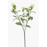 Rama artificial amaranto DREWON, crema, 65 cm