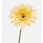 Gerbera artificial FRALWE, colección Eco, amarillo claro, 65 cm, Ø 13 cm