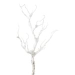 Rama artificial de abedul BLUNTE, nevada, blanca, 65 cm