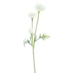 Rama decorativa ranúnculo TRITO, crema, 35cm