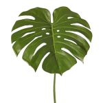 Plantas artificiales Hoja de monstera THALWIL, 60 cm