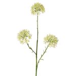 Rama decorativa Allium ALIKIO, blanca, 65 cm, Ø 6,5 cm