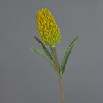 Flor artificial Banksia robur EREDIN, amarilla, 70 cm