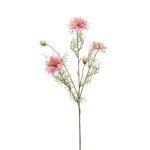 Rama decorativa de comino negro JENNIE, rosa, 70 cm