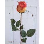 Rosa artificial OPHELIE, naranja-amarillo, 85cm, Ø7cm