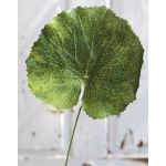 Hoja de geranio artificial HEIDEGARD, verde, 38cm, Ø13cm