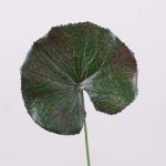 Hoja de geranio artificial HEIDEGARD, verde-rojo, 38cm, Ø11cm