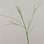 Rama de bambú artificial HARUTO, 105cm