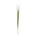 Rama decorativa junco de pantano VORLO, verde, 85 cm