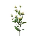 Rama decorativa de amaranto THUSNELDA, blanco crema, 70 cm