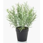 Hierbas aromáticas artificiales romero WHOOPI en maceta decorativa, verde, 25 cm