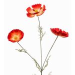 Rama decorativa con cestas BRALTO, naranja, 80 cm