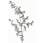Rama de eucalipto artificial ILMO, gris-verde, 85cm