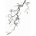Rama de avellano artificial XANCHO, con amentos, marrón, 65cm, Ø0,5cm