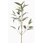 Rama artificial Eucalipto JURKA con frutos, verde-gris, 90 cm