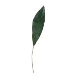 Hoja de Aspidistra sintética PAISA, 75cm