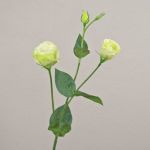 Rama artificial de lisianthus RINARA, verde crema, 65 cm