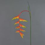 Flor decorativa de heliconia MEIHUA, naranja, 95cm