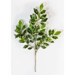 Rama de Ficus sintética AJITH, verde-blanco, 45cm