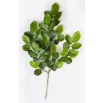 Rama de haya artificial ERICK, verde, 75cm