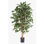 Ficus exotica artificial THIAGO, troncos naturales, verde, 120cm