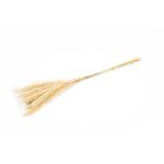 Hierba de la pampa seca ANAHITA, natural, 60 cm, Ø 8 cm