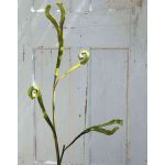 Rama de sauce dragón artificial ADELFOS, verde, 85cm
