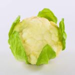 Coliflor de plástico SINEO, blanco-verde, 10,5cm, Ø18cm