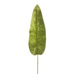 Hoja de plátano de terciopelo AOXUE, verde, 70cm