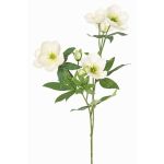 Rama artificial de rosa de Navidad ANYALA, crema-blanco, 60cm, Ø5-6cm